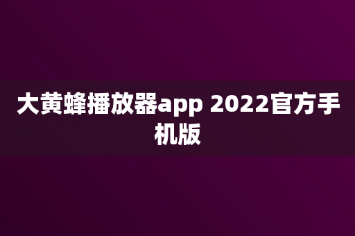 大黄蜂播放器app 2022官方手机版