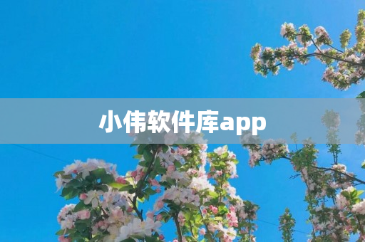 小伟软件库app