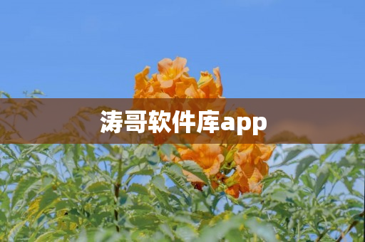 涛哥软件库app