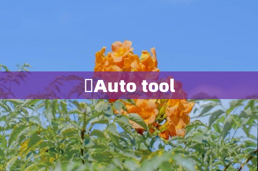 ​Auto tool