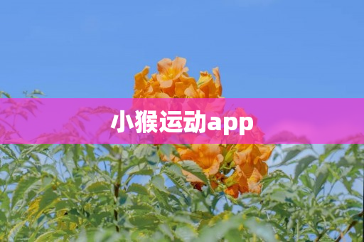 小猴运动app