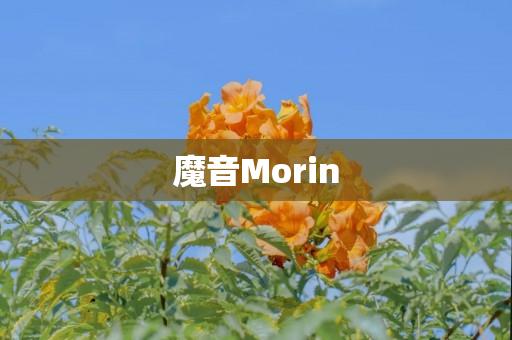 魔音Morin