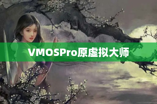 VMOSPro原虚拟大师