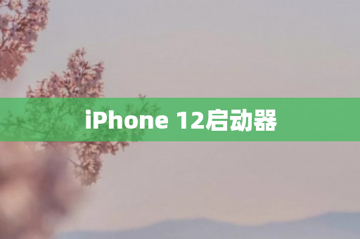 iPhone 12启动器