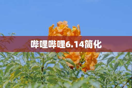 哔哩哔哩6.14简化