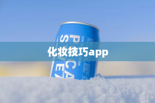 化妆技巧app