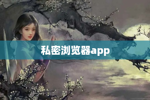 私密浏览器app