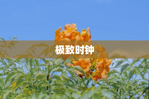 极致时钟