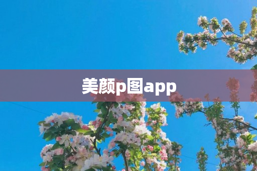 美颜p图app