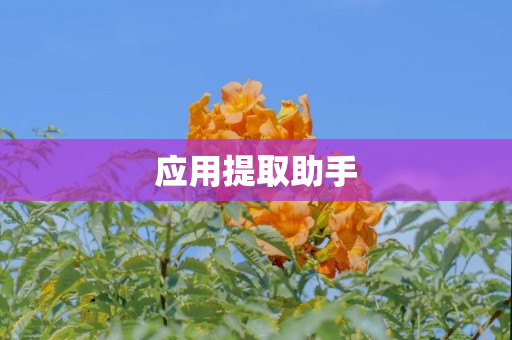 应用提取助手