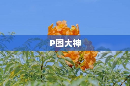 P图大神