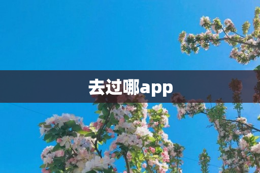 去过哪app