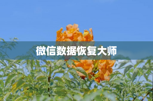 微信数据恢复大师