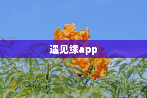 遇见缘app