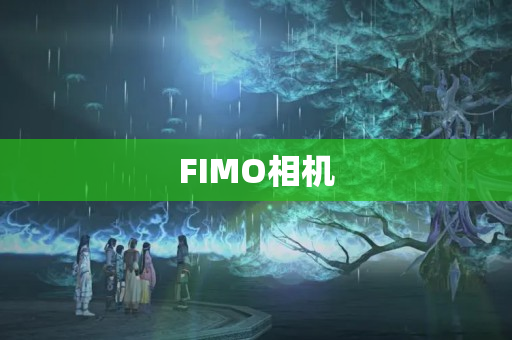 FIMO相机