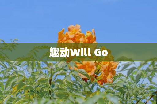 趣动Will Go