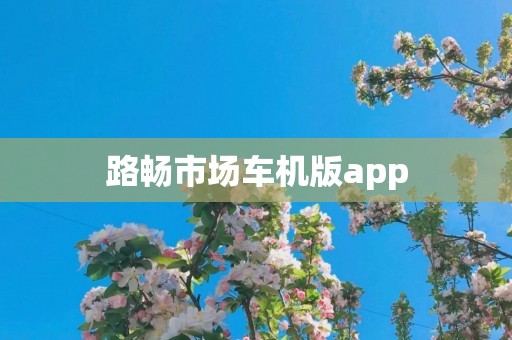 路畅市场车机版app