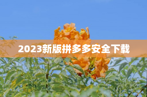 2023新版拼多多安全下载