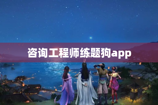 咨询工程师练题狗app