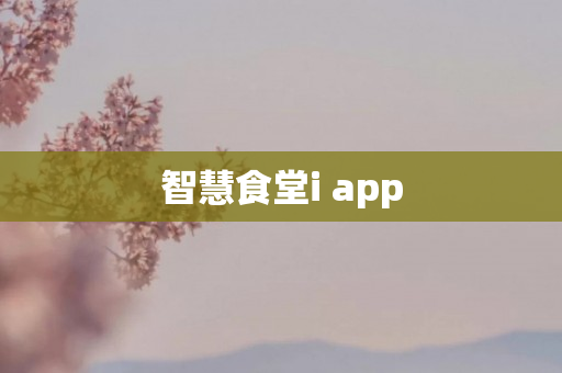 智慧食堂i app