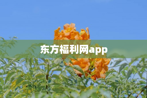 东方福利网app