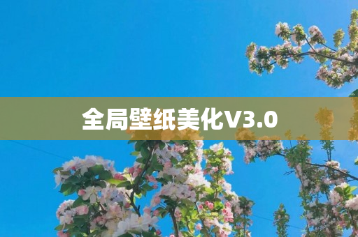 全局壁纸美化V3.0