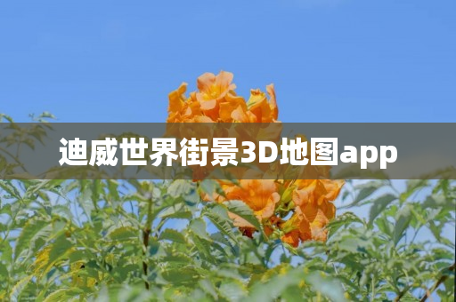 迪威世界街景3D地图app