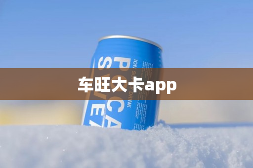 车旺大卡app