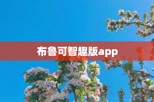 布鲁可智趣版app