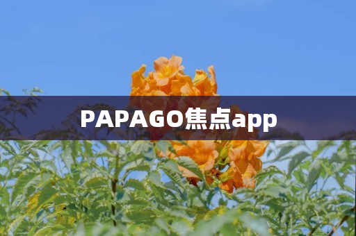 PAPAGO焦点app