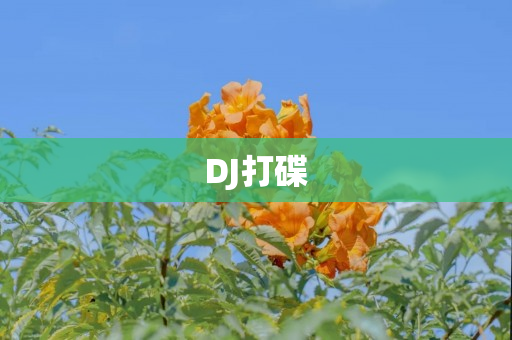 DJ打碟