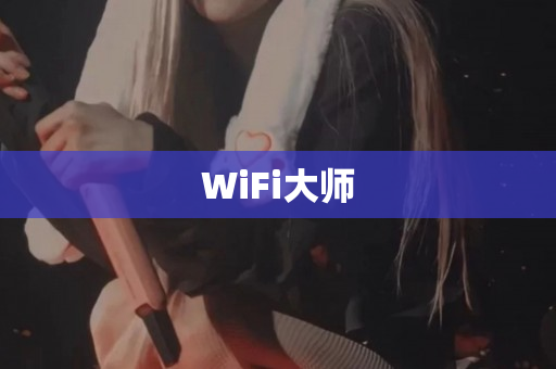 WiFi大师