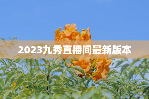 2023九秀直播间最新版本