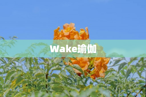 Wake瑜伽