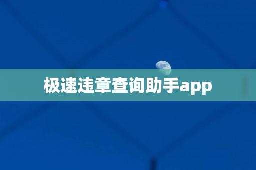 极速违章查询助手app