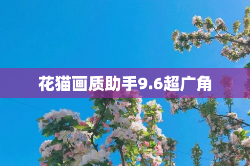 花猫画质助手9.6超广角