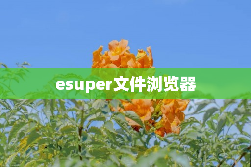 esuper文件浏览器