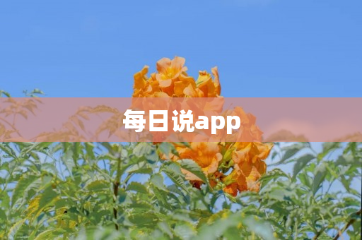 每日说app