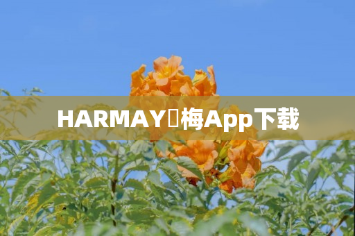 HARMAY話梅App下载