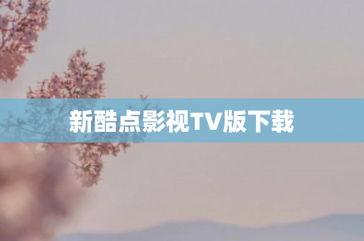 新酷点影视TV版下载