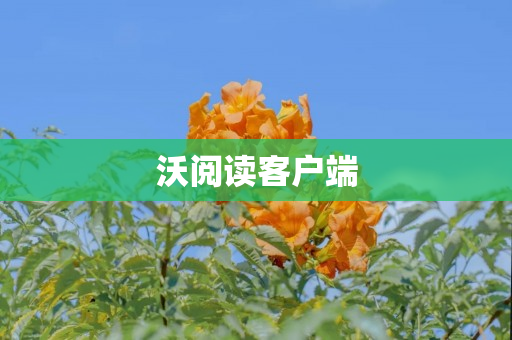 沃阅读客户端