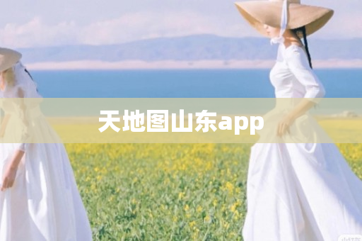 天地图山东app