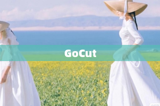 GoCut