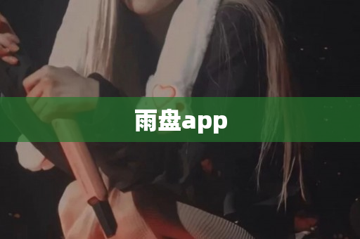 雨盘app