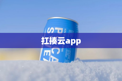 扛揍云app