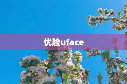 优脸uface