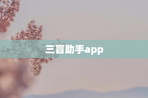 三盲助手app