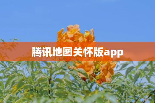 腾讯地图关怀版app