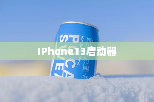 IPhone13启动器