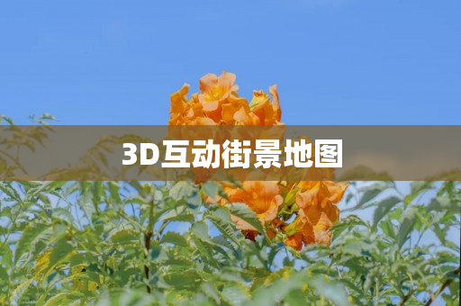 3D互动街景地图